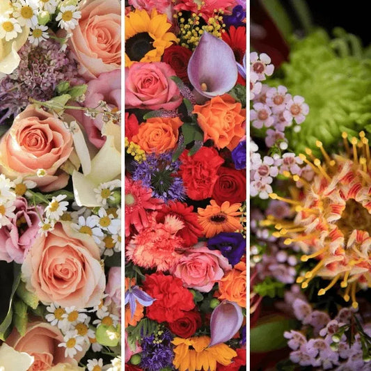 Three vertical strips of colorful flowers with a black background